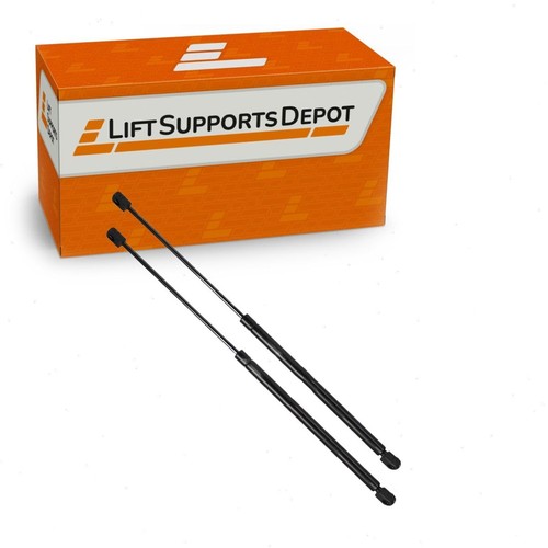 Rear tailgate lift - 2,